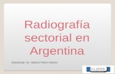 Radiografía sectorial en Argentina Disertante: Dr. Nelson Pérez Alonso.