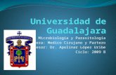 Asignatura: Microbiología y Parasitología Carrera: Medico Cirujano y Partero Profesor: Dr. Apolinar López Uribe Ciclo: 2009 B.