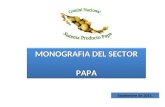 Septiembre de 2011. MONOGRAFIA DEL SECTOR PAPA PAPA.