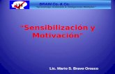 “ Sensibilización y Motivación ” BRAIN Co. & Co. BRAIN Co. & Co. “Aprendizaje Acelerado & Inteligencias Multiples”  Lic. Mario S. Bravo Orozco.