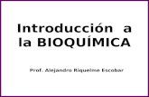 Introducción a la BIOQUÍMICA Prof. Alejandro Riquelme Escobar.
