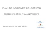 PLAN DE ACCIONES COLECTIVAS PRESENTADO POR: LINA MARIA MUÑOZ G. PROBLEMAS EN EL AMAMANTAMIENTO.