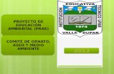 ¿Qué son los PRAE? Los Proyectos Ambientales Escolares (PRAE) fueron creados mediante el DECRETO 1743/1994 por el cual se instituyó el Proyecto de Educación.