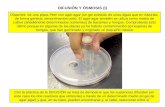 DIFUSIÓN Y ÓSMOSIS (I) Dispones de una placa Petri con agar-agar (un gel extraído de unas algas que en Asturias, de forma general, denominamos ocle). El.