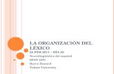 LA ORGANIZACIÓN DEL LÉXICO 25 FEB 2011 – DÍA 20 Neurolingüística del español SPAN 4270 Harry Howard Tulane University.