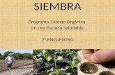 SIEMBRA Programa Huerta Orgánica en una Escuela Saludable 2º ENCUENTRO.