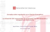 1 Prospectiva y planificación energética. La visión de la Generalitat de Catalunya Generalitat de Catalunya Direcció General d’Energia i Mines Jornada.