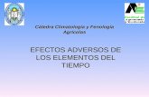 EFECTOS ADVERSOS DE LOS ELEMENTOS DEL TIEMPO Cátedra Climatología y Fenología Agrícolas.