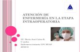 A TENCIÓN DE ENFERMERÍA EN LA ETAPA INTRAOPERATORIA EU. María José Cañas R. U andes. Enfermera tratante UPC HUAP 25/03/10.