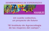 Un sueño colectivo, un proyecto de futuro “El Instituto de Agroecología de las mujeres del campo”. SEMBRADORAS DE ESPERANZAS.