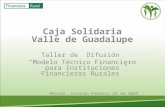 Caja Solidaria Valle de Guadalupe Taller de Difusión “Modelo Técnico Financiero para Instituciones Financieras Rurales” Mérida, Yucatán Febrero 25 de 2009.