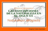 LAS CONCEPCIONES DE LA NATURALEZA EN EL SIGLO XX Proyecto Bionomos LAS CONCEPCIONES DE LA NATURALEZA EN EL SIGLO XX Regina Cobo Quintas.
