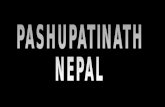 “El lugar más impactante de Katmandú es el templo de Pashupatinath, a orillas del río Bagmati –una arteria del sagrado.