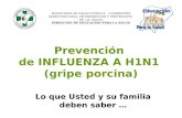 Prevención de INFLUENZA A H1N1 (gripe porcina) MINISTERIO DE SALUD PÚBLICA – CORRIENTES DIRECCION GRAL. DE PROMOCION Y PROTECCION DE LA SALUD DIRECCION.