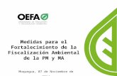 Moquegua, 07 de Noviembre de 2014 Medidas para el Fortalecimiento de la Fiscalización Ambiental de la PM y MA.