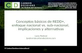 Conceptos básicos de REDD+, enfoque nacional vs. sub-nacional, implicaciones y alternativas Lucio Pedroni lpedroni@carbondecisions.com CARBON DECISIONS.