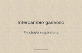 Dra Marcela Prado Intercambio gaseoso Fisiología respiratoria.