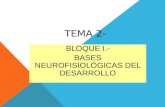 TEMA 2- BLOQUE I.- BASES NEUROFISIOLÓGICAS DEL DESARROLLO.