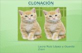 Laura Ruiz López y Ouarda Ziani.  Definición.  Tipos de clonación.  Partición gemelar.  Paraclonación.  Clonación verdadera.  Clonación reproductiva.