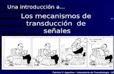 Los mecanismos de transducción de señales Una introducción a... Patricia V. Agostino – Laboratorio de Cronobiología - UNQ.
