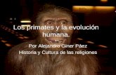 Alejandro Giner Páez Los primates y la evolución humana. Por Alejandro Giner Páez Historia y Cultura de las religiones.