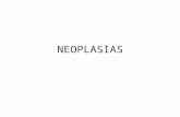 NEOPLASIAS. Todos saben que significa neoplasia? Según Rupert Willis – “una masa anormal de tejido, con un crecimiento que sobrepasa al de los tejidos.