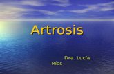 Artrosis Dra. Lucía Ríos Dra. Lucía Ríos. DEFINICIÓN Y PATOGENIA La osteoartritis o artrosis es una enfermedad articular crónica ocasionada básicamente.