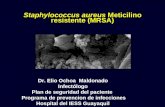 Staphylococcus aureus Meticilino resistente (MRSA) Dr. Elio Ochoa Maldonado Infectólogo Plan de seguridad del paciente Programa de prevencion de infecciones.