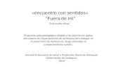 «encuentro con sentidos» “Fuera de mi” Propuesta psicopedagógica dirigida a los jóvenes de básica secundaria del Departamento de Antioquia para trabajar.