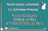 REFERENCIA. Tamaulipas tiene un amplio potencial agropecuario, forestal y de pesca, de un total de 7.9 millones de hectáreas. Tamaulipas tiene un amplio.