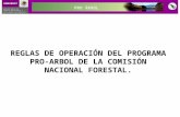 PRO ÁRBOL REGLAS DE OPERACIÓN DEL PROGRAMA PRO-ARBOL DE LA COMISIÓN NACIONAL FORESTAL.
