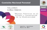 TALLERES SIMULTÁNEOS “Mejores Prácticas en el Estudio y Conservación de la Biodiversidad” Amealco, Querétaro Marzo de 2011.