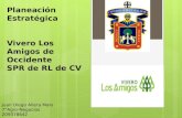 Planeación Estratégica Vivero Los Amigos de Occidente SPR de RL de CV Juan Diego Allera Malo 7°Agro-Negocios 209378642.