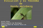 Salir 1 Evolución y el Teorema de Hardy-Weinberg Ariel Díaz Departamento de Biología Universidad de Puerto Rico en Humacao.