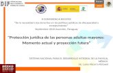 X CONFERENCIA RIICOTEC “De la necesidad a los derechos en las políticas públicas de discapacidad y envejecimiento” Septiembre 2010 Asunción, Paraguay "Protección.