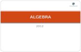 2012 ALGEBRA. OBJETIVOS Conocer conceptos básicos de algebra: -Término Algebraico: Coeficiente Numérico Factor Literal Grado Signo -Expresión Algebraica.