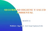 SEGURIDAD HIGIENE Y SALUD AMBIENTAL SESIÓN 11 Profesor: Ing. M.Sc. José Jorge Espinoza Eche.