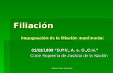María Silvia Villaverde Filiación 01/11/1999 “D.P.V., A. c. O.,C.H.” 01/11/1999 “D.P.V., A. c. O.,C.H.” Corte Suprema de Justicia de la Nación Impugnación.