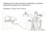 Calificación de Documentos Judiciales ¿al Poder Judicial le gustan los “carneros”? Profesor: Jorge Ortiz Pasco.