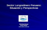Sector Langostinero Peruano: Situación y Perspectivas Christian Berger Oscar Rubio .