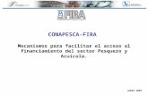 CONAPESCA-FIRA Mecanismos para facilitar el acceso al financiamiento del sector Pesquero y Acuícola. JUNIO 2007.