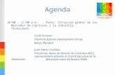 10:00 - 11:00 a.m.Panel: Situación global de los Mercados de capitales y la industria financiera Carlo Corazza Payment Systems Development Group Banco.