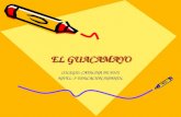 EL GUACAMAYO COLEGIO: CATALINA DE FOIX NIVEL: 3º EDUCACIÓN INFANTIL.