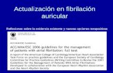 Actualización en fibrilación auricular Segovia, 23 de Enero de 2008 Reflexiones sobre la evidencia existente y nuevas opciones terapeúticas.