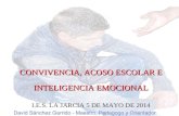 CONVIVENCIA, ACOSO ESCOLAR E INTELIGENCIA EMOCIONAL I.E.S. LA JARCIA 5 DE MAYO DE 2014.