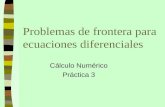 Problemas de frontera para ecuaciones diferenciales Cálculo Numérico Práctica 3.
