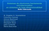 Sistemas de electrones fuertemente correlacionados en sistemas de baja dimensionalidad Belén Valenzuela M. Ángeles H. Vozmediano Francisco Guinea Dionys.