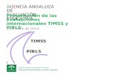 AGENCIA ANDALUZA DE EVALUACIÓN EDUCATIVA Presentación de las evaluaciones internacionales TIMSS y PIRLS Diciembre de 2014.