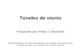 Túneles de viento Preparado por: Pedro J. Boschetti Esta presentación ha sido realizada para ser utilizada únicamente como material de clase, no lo utilicen.