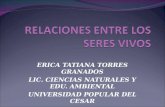 ERICA TATIANA TORRES GRANADOS LIC. CIENCIAS NATURALES Y EDU. AMBIENTAL UNIVERSIDAD POPULAR DEL CESAR.